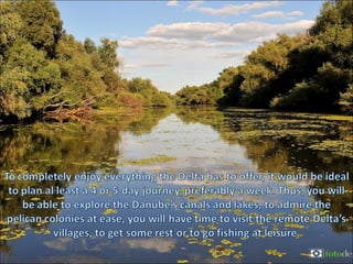The danube delta