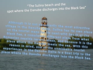The danube delta