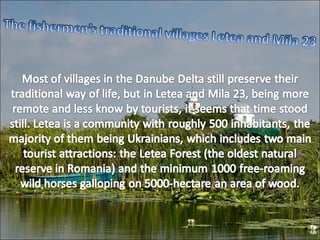 The danube delta