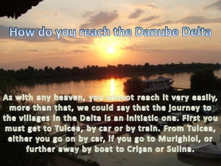 The danube delta