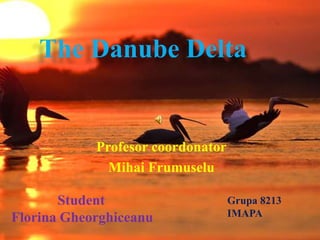 The Danube Delta
Profesor coordonator
Mihai Frumuselu
Student
Florina Gheorghiceanu
Grupa 8213
IMAPA
 