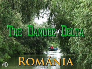 The danube delta   romania (v.m.)