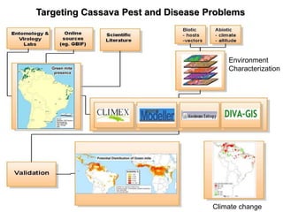 The Dapa Program Nov 2009