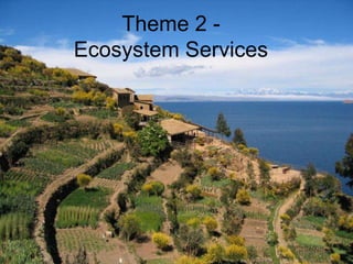 The Dapa Program Nov 2009