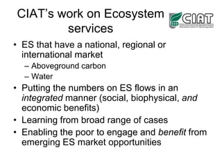 The Dapa Program Nov 2009