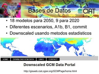 The Dapa Program Nov 2009