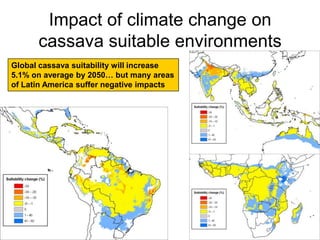 The Dapa Program Nov 2009