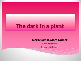 The dark in a plant
María Camila Mora Gómez
Cuarto Primaria
Octubre 17 de 2013

 