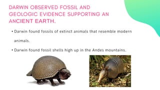 •
•
CIENT EARTH.
 