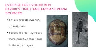 •
•
TIME CAME FROM SEVERAL
SOURCES.
 