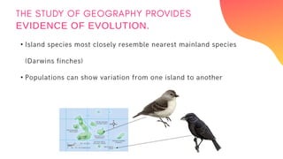 •
•
EVIDENCE OF EVOLUTION.
 