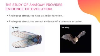 •
•
EVIDENCE OF EVOLUTION.
 