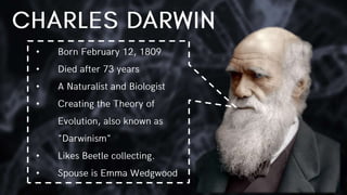 •
•
•
•
•
•
 