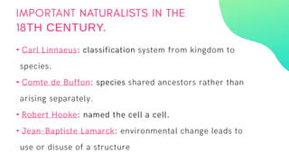 TH CENTURY.
•
•
•
•
 