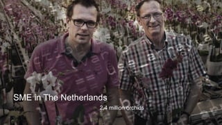 SME in The Netherlands
2,4 million orchids
 