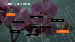 Current value chain
Distribution center
Grower
Transport
Auction
Transport
Home & Garden
Transport
Consumer
 