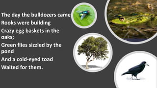 The day the bulldozers came
Rooks were building
Crazy egg baskets in the
oaks;
Green flies sizzled by the
pond
And a cold-eyed toad
Waited for them.
 