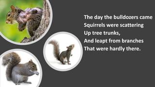The day the bulldozers came
Squirrels were scattering
Up tree trunks,
And leapt from branches
That were hardly there.
 