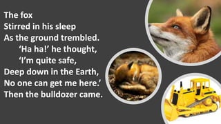 The fox
Stirred in his sleep
As the ground trembled.
‘Ha ha!’ he thought,
‘I’m quite safe,
Deep down in the Earth,
No one can get me here.’
Then the bulldozer came.
 