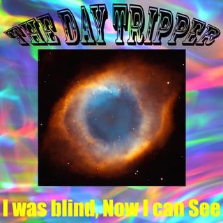 The Day Tripper