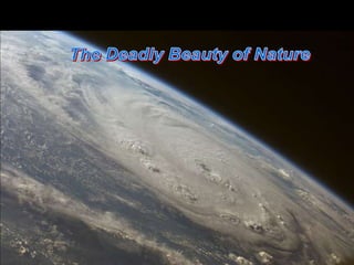      The Deadly Beauty of Nature 