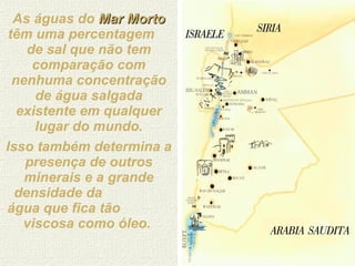 As águas do  Mar Morto  têm uma percentagem  de sal que não tem comparação com nenhuma concentração de água salgada existente em qualquer lugar do mundo. Isso também determina a presença de outros minerais e a grande densidade da  água que fica tão  viscosa como óleo.  