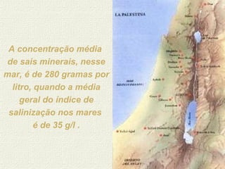 A concentração média  de sais minerais, nesse mar, é de 280 gramas por litro, quando a média geral do índice de salinização nos mares  é de 35 g/l . 