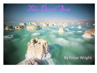 The Dead Sea
By Freya Wright
 
