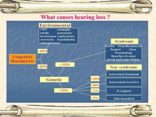 What causes hearing loss ?
 