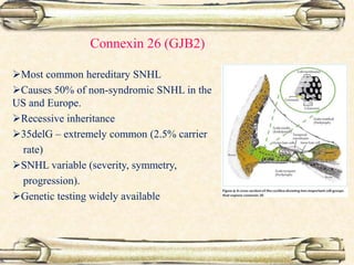 Connexin 26 (GJB2)
Most common hereditary SNHL
Causes 50% of non-syndromic SNHL in the
US and Europe.
Recessive inheritance
35delG – extremely common (2.5% carrier
rate)
SNHL variable (severity, symmetry,
progression).
Genetic testing widely available
 