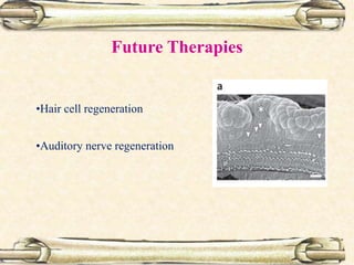 Future Therapies
•Hair cell regeneration
•Auditory nerve regeneration
 
