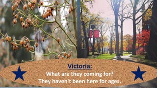 Victoria:
What are they coming for?
They haven't been here for ages.
 