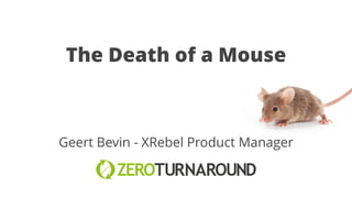 The Death of a Mouse 
Geert Bevin - XRebel Product Manager 
 