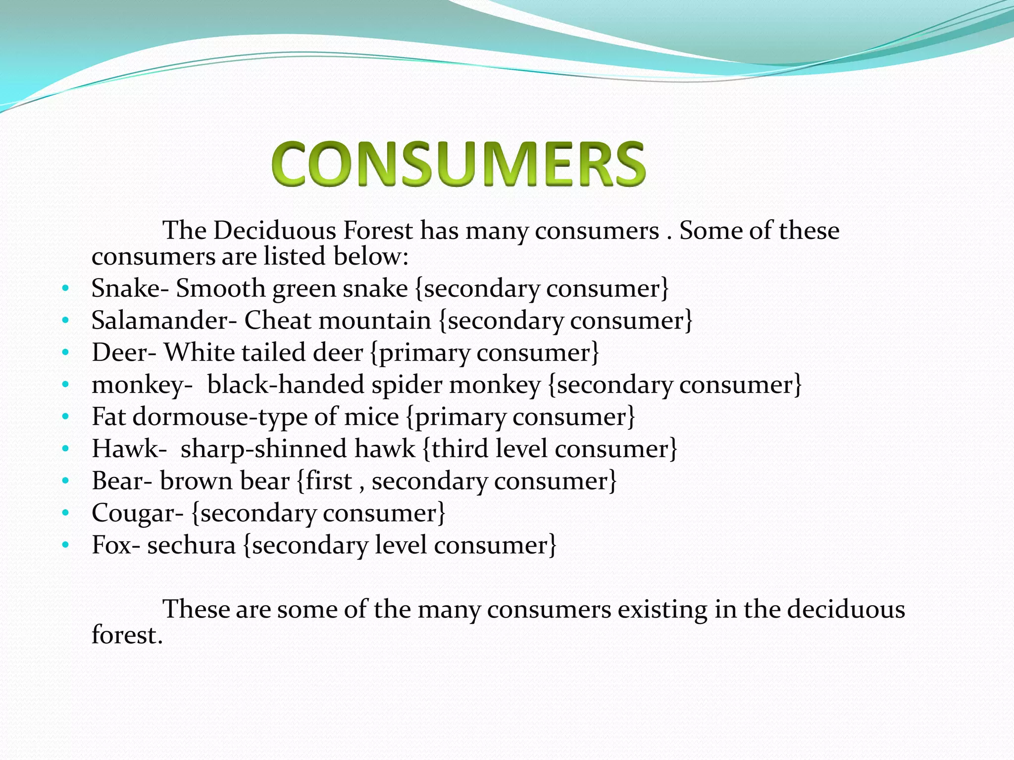 The Deciduous Forest has many consumers . Some of these
    consumers are listed below:
•   Snake- Smooth green snake {secondary consumer}
•   Salamander- Cheat mountain {secondary consumer}
•   Deer- White tailed deer {primary consumer}
•   monkey- black-handed spider monkey {secondary consumer}
•   Fat dormouse-type of mice {primary consumer}
•   Hawk- sharp-shinned hawk {third level consumer}
•   Bear- brown bear {first , secondary consumer}
•   Cougar- {secondary consumer}
•   Fox- sechura {secondary level consumer}

           These are some of the many consumers existing in the deciduous
    forest.
 