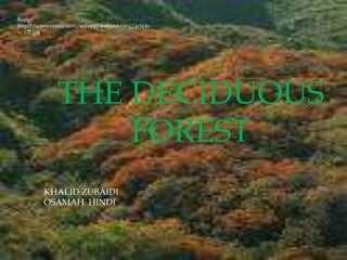 Image: http://sciencecastle.com/sc/app/webroot/img/articles/121.jpg THE DECIDUOUS FOREST KHALID ZUBAIDI	 OSAMAH  HINDI 