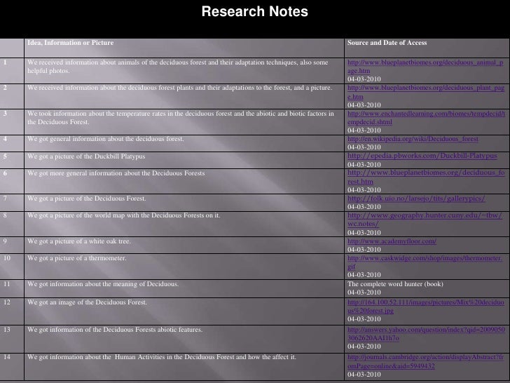 The Deciduous Forest