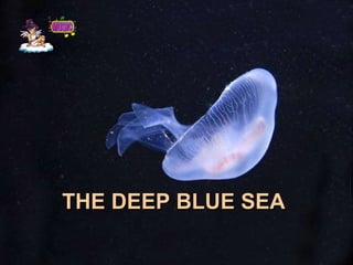 THE DEEP BLUE SEA 