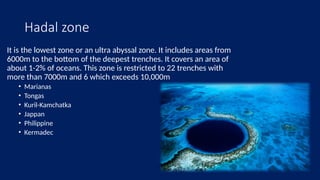 THE DEEP SEA -Life and mysteries in Earth's deepest oceans..pptx