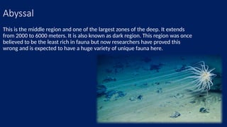 THE DEEP SEA -Life and mysteries in Earth's deepest oceans..pptx