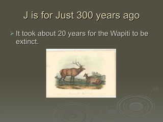 J is for Just 300 years ago It took about 20 years for the Wapiti to be extinct. 