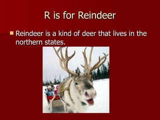 R is for Reindeer Reindeer is a kind of deer that lives in the northern states. 
