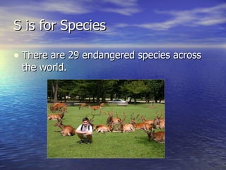 S is for Species There are 29 endangered species across the world. 