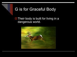 G is for Graceful Body Their body is built for living in a dangerous world. 