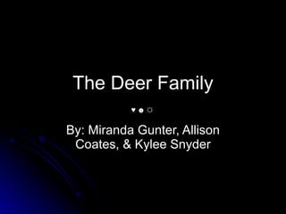 The Deer Family By: Miranda Gunter, Allison Coates, & Kylee Snyder ♥ ☻ ☼ 
