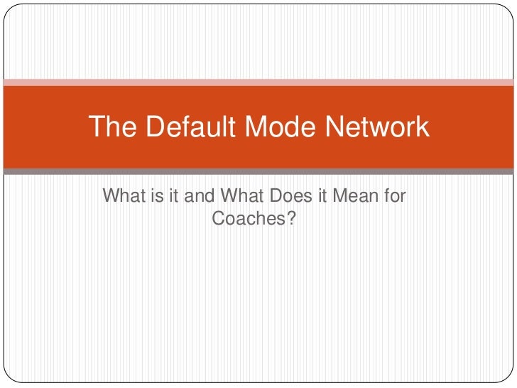 The Default Mode Network