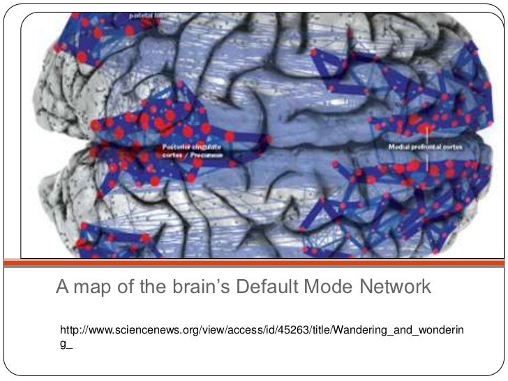 The Default Mode Network