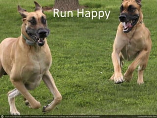 Run Happy
 