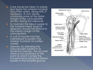  Care should be taken to isolate
and ligate the anterior humeral
circumflex artery, along with, if
necessary, its two venae
communicantes at the distal
margin of the subscapularis
tendon during the exposure.
 To maintain the blood supply to
the humeral head, surgical
dissection should not extend to
the inferior margin of the
subscapularis.
 A cuff of muscle must be
maintained to protect the
anterior humeral circumflex
vessels.
 Likewise, by releasing the
subscapularis medial to its
tendinous insertion, the arcuate
artery is not sacrificed at the
point at which it enters the
humeral head along the lateral
border of the bicipital groove.
 