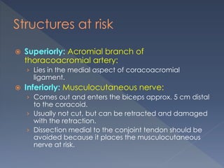 Structures at risk
 Superiorly: Acromial branch of
thoracoacromial artery:
› Lies in the medial aspect of coracoacromial
ligament.
 Inferiorly: Musculocutaneous nerve:
› Comes out and enters the biceps approx. 5 cm distal
to the coracoid.
› Usually not cut, but can be retracted and damaged
with the retraction.
› Dissection medial to the conjoint tendon should be
avoided because it places the musculocutaneous
nerve at risk.
 