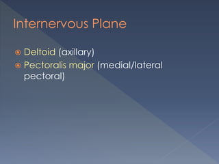 Internervous Plane
 Deltoid (axillary)
 Pectoralis major (medial/lateral
pectoral)
 